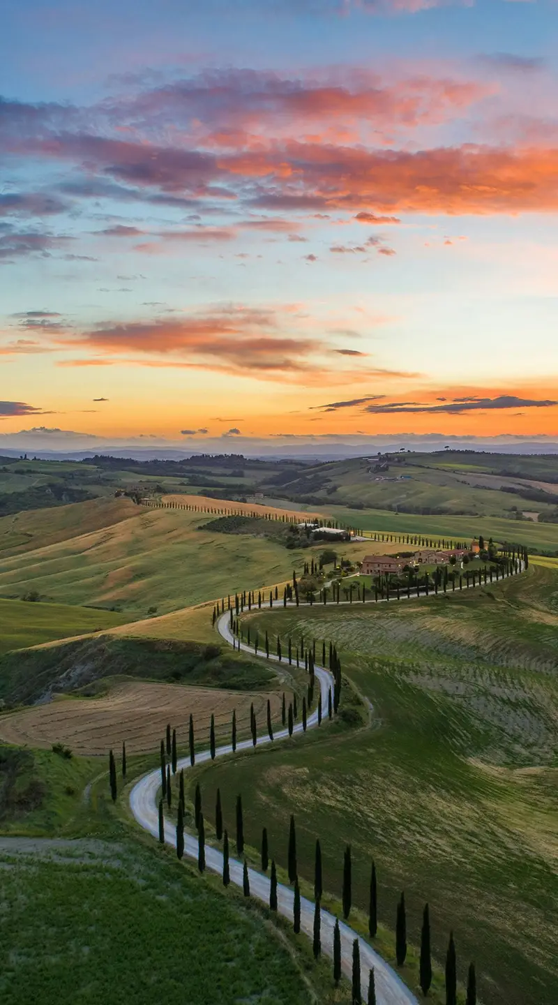 Tuscan countryside and cypress-lined road near Borgo della Meliana